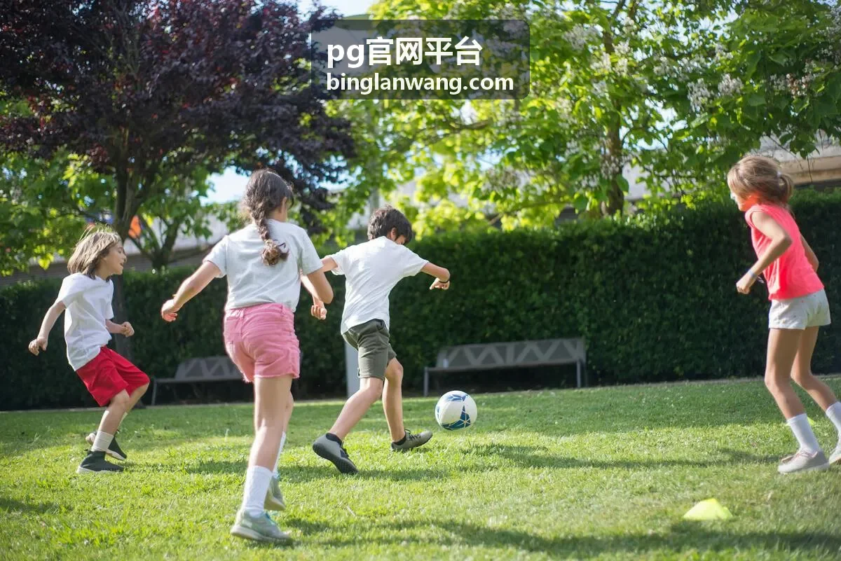 pg官网平台 官方入口身份核对的流程示意