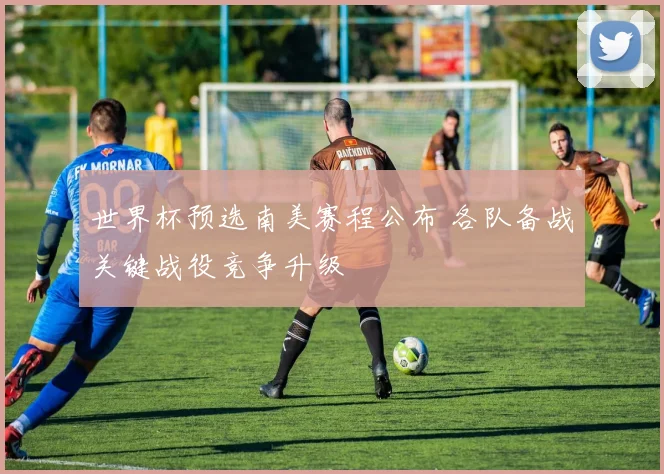 世界杯预选南美赛程公布 各队备战关键战役竞争升级