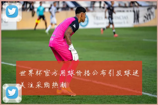 世界杯官方用球价格公布引发球迷关注采购热潮