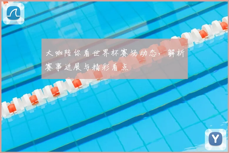 大咖陪你看世界杯赛场动态，解析赛事进展与精彩看点