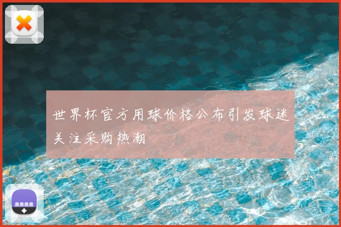 世界杯官方用球价格公布引发球迷关注采购热潮