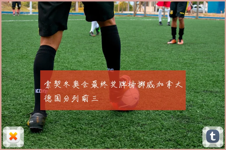 索契冬奥会最终奖牌榜挪威加拿大德国分列前三