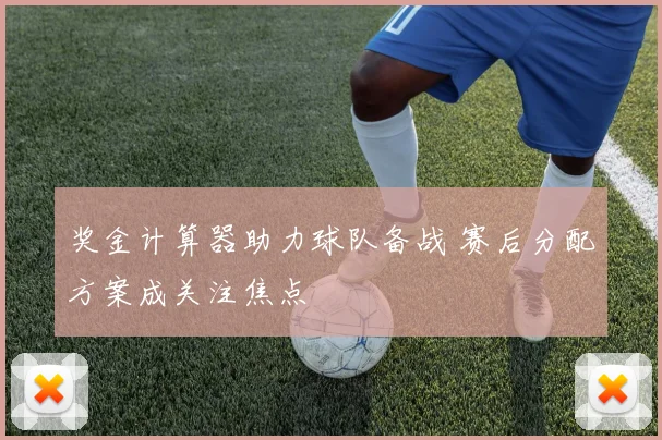 奖金计算器助力球队备战 赛后分配方案成关注焦点