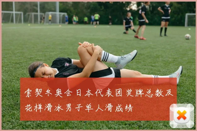 索契冬奥会日本代表团奖牌总数及花样滑冰男子单人滑成绩