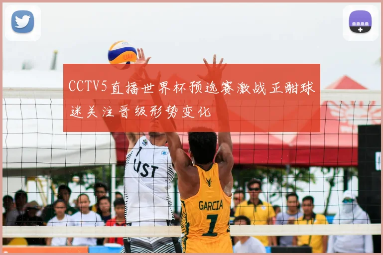 CCTV5直播世界杯预选赛激战正酣球迷关注晋级形势变化