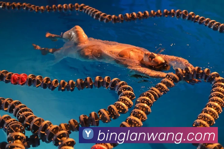 世界杯官方网络平台品牌故事