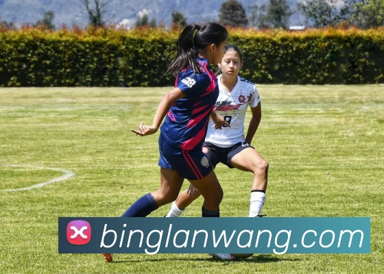 世界杯官方网络平台服务体系